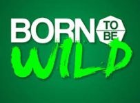 Born To Be Wild March 9 2025